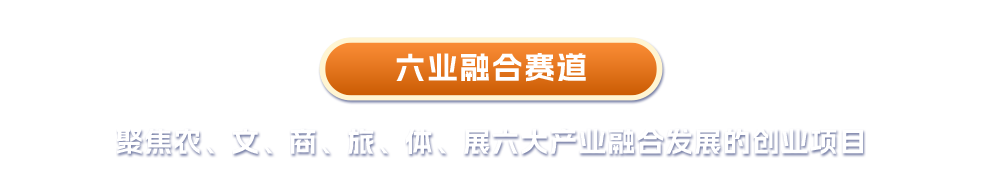 六业融合赛道
