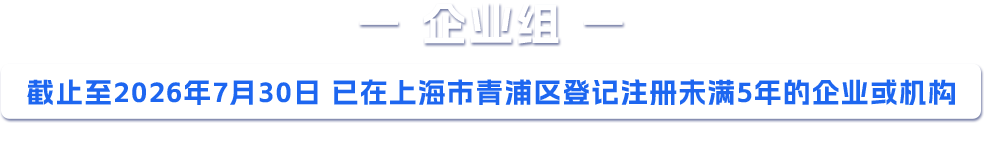 主体赛